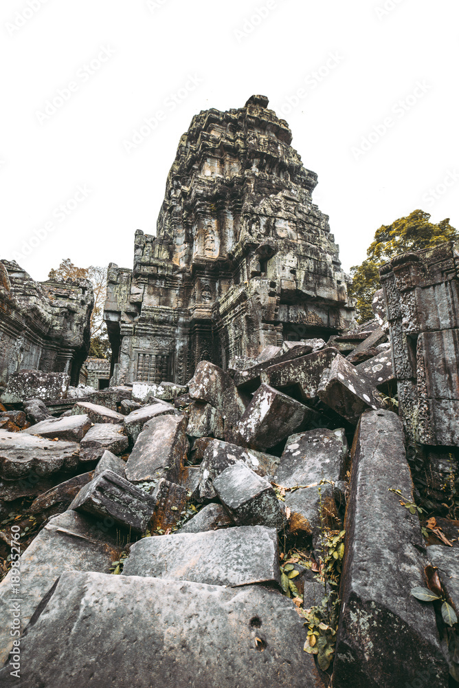 Ta Prohm temple ruins isolated on white background in Angkor, Siem Reap, Cambodia.