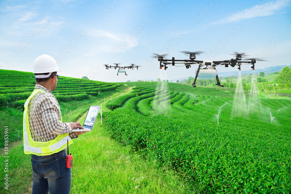 Technician farmer use wifi computer control agriculture drone fly to sprayed fertilizer on the green tea fields, Smart farm 4.0 concept Technician farmer use wifi computer control agriculture drone fly to sprayed fertilizer on the green tea fields, Smart farm 4.0 concept
