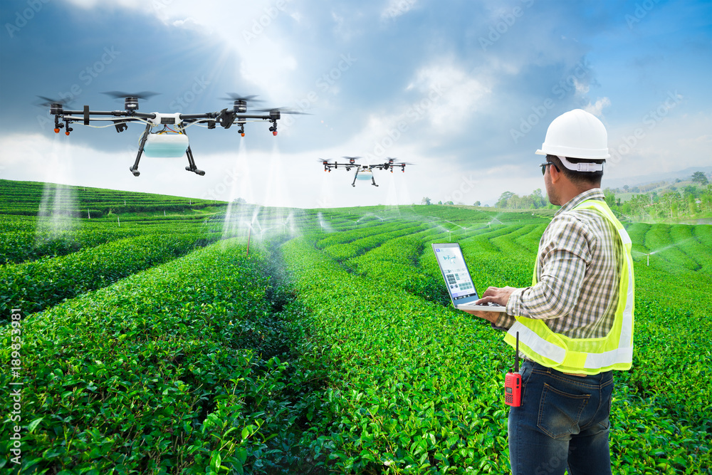 Technician farmer use wifi computer control agriculture drone fly to sprayed fertilizer on the green tea fields, Smart farm 4.0 concept - obrazy, fototapety, plakaty 