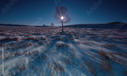 The landscape of Bashang in Hebei, China