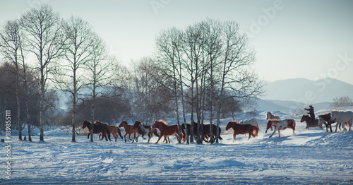 The image of Bashang in Hebei, China