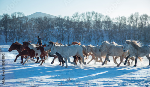 The image of Bashang in Hebei, China