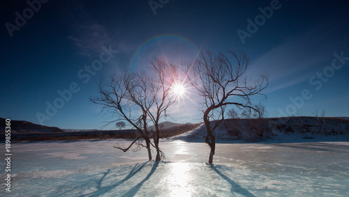 The image of Bashang in Hebei, China