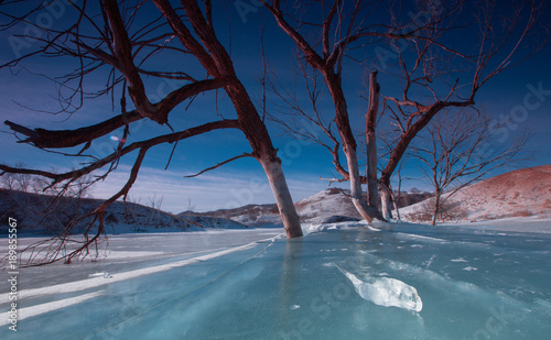 The image of Bashang in Hebei, China