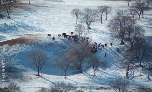 The image of Bashang in Hebei, China