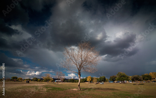 The image of Bashang in Hebei, China