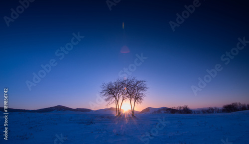The landscape of Bashang in Hebei, China