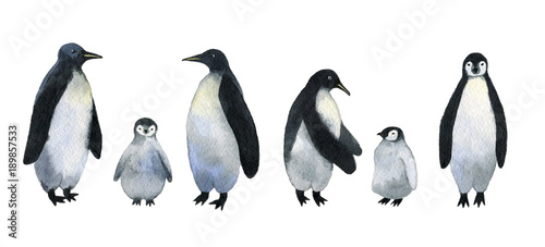 Penguins. Collection of adults penguins with cute baby penguins. Watercolor hand drawn illustration isolated on white background