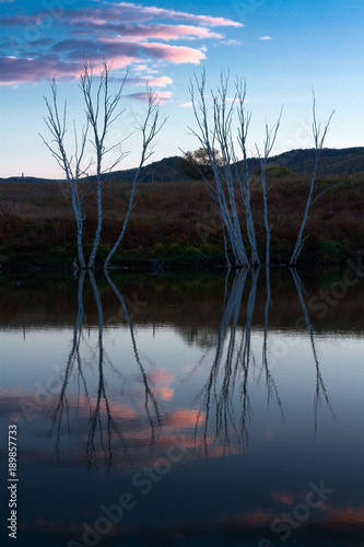 The landscape of Bashang in Hebei, China