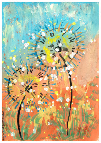 Dandelion in the meadow