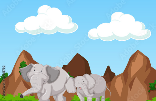 Canvas Print Scene with two elephants in the mountain