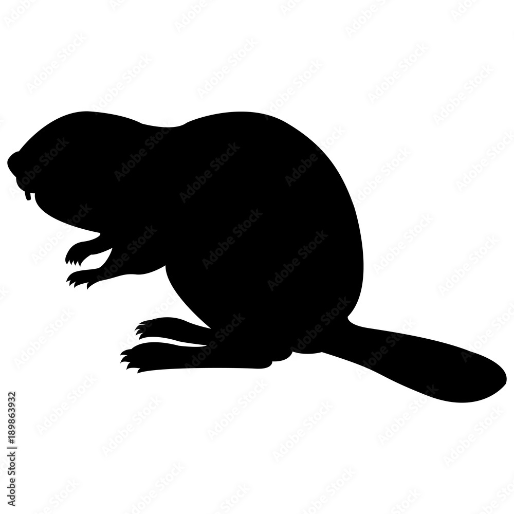 Vector image of a silhouette of a beaver on a white background - obrazy, fototapety, plakaty 