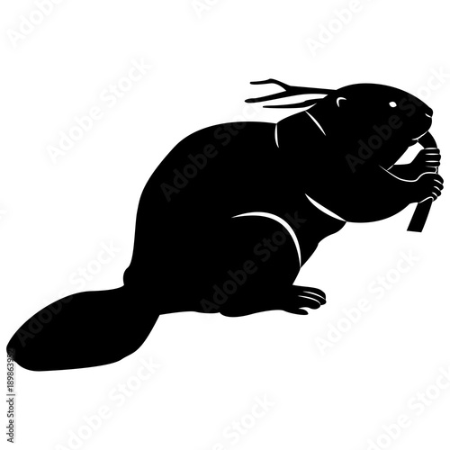 Vector image of a silhouette of a beaver on a white background