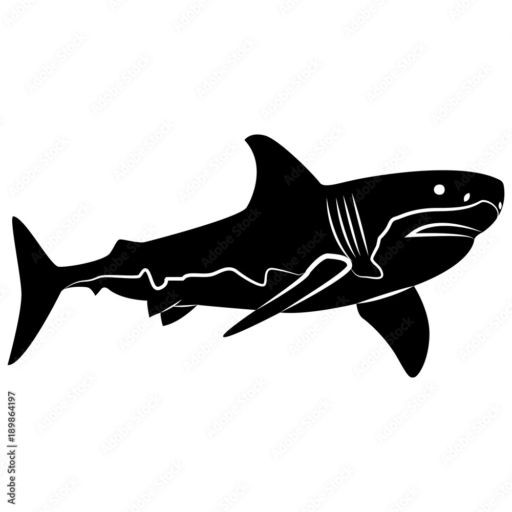 Fototapeta premium Vector image of a shark silhouette on a white background