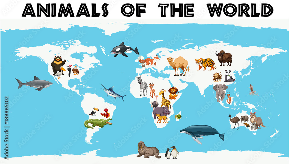 Fototapeta Different types of animals around the world on the map