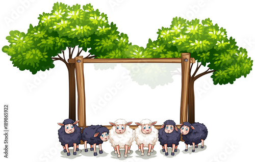 Foto Wooden frame template with sheeps