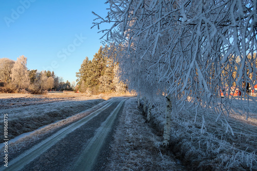 A small dirt road in the co...