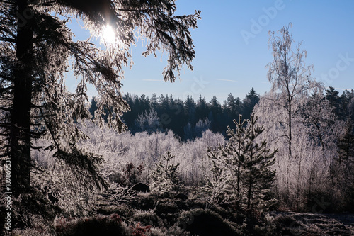 Low sun in winter over a de...