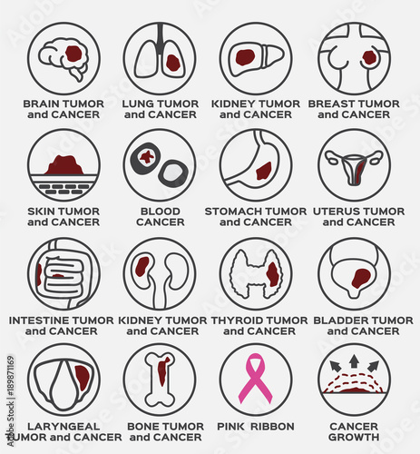 tumor and cancer icon / set vector / brain kidney lung breast skin blood stomach uterus intestine thyroid bladder laryngeal bone pink ribbon