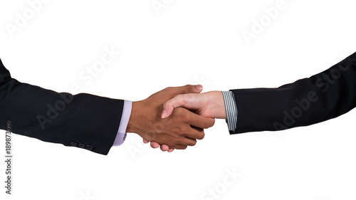 Businessman And Businesswoman Shaking Hand