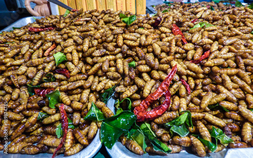 Fried silkworms with chili pepper for sale at a market in Hat Yai  Thailand