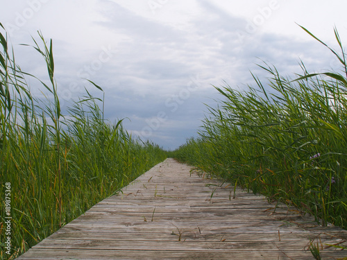 Saaremaa