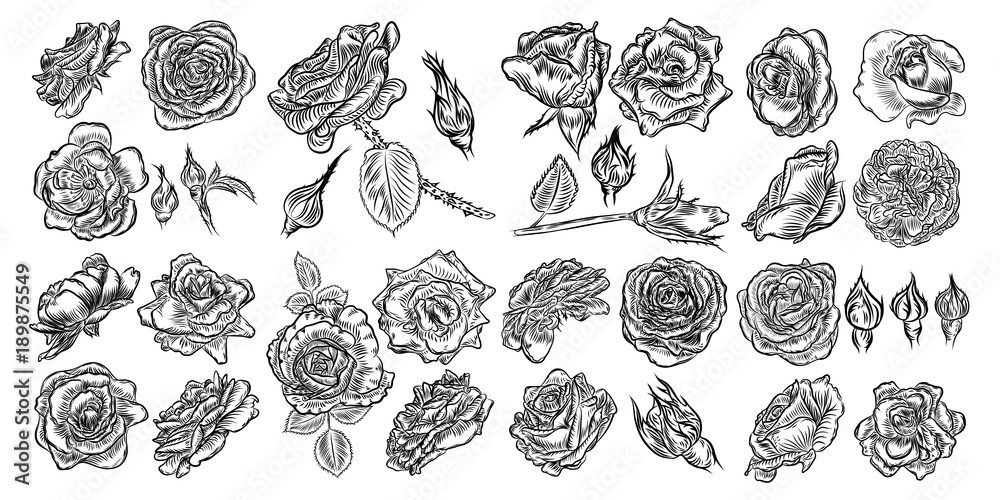Tattoo concept rose flowers set. Tattooing idea collection style ink roses elements. Wild flowers mix for design. Vector.