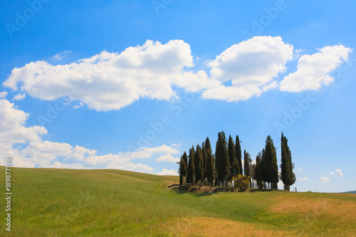 Val d Orcia cypresses view