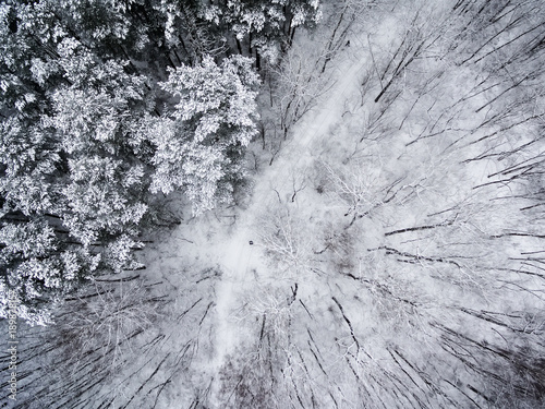 Aerial top view of wnowy winter forest photo
