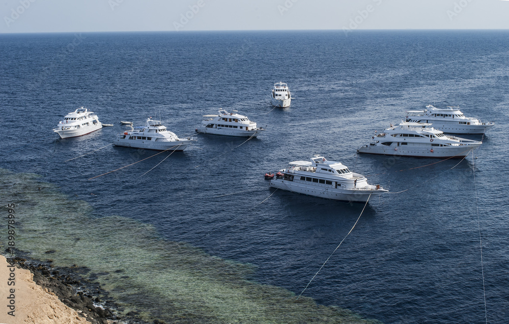 Seven moored diver's yachts in the Red Sea, Egypt. White boats on a dark blue with green sea look great  for a travel agency or for a background.