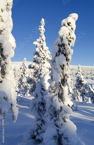 Norefjell / Norway: View over the fantastic winter landscape to an empty downhill ski run photo