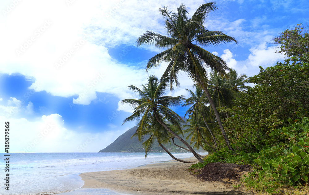 The Caribbean beach , Martinique island. The Caribbean beach , Martinique island.