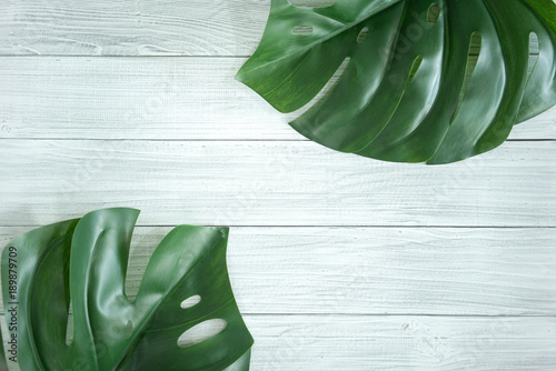 Big green leaves on a white wooden table, flat lay template with text space