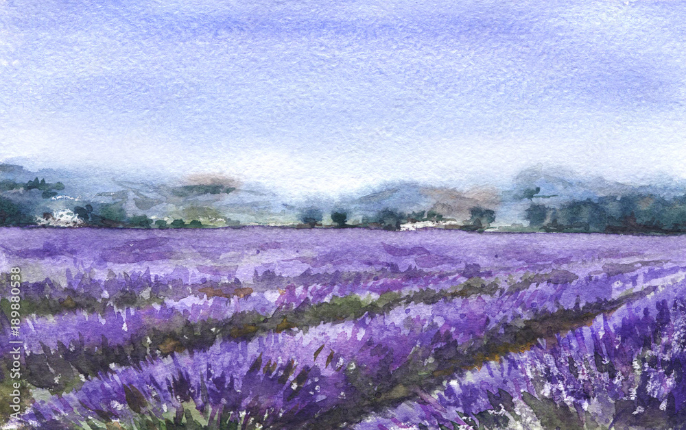 Fototapeta premium Landscape with Lavender Field