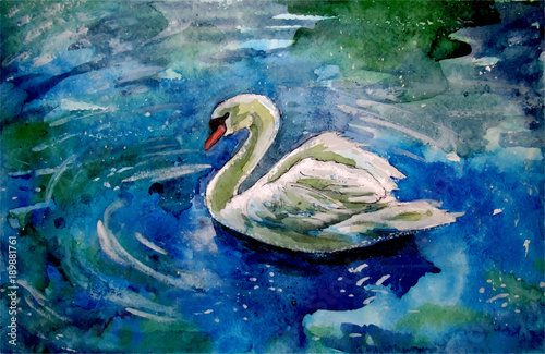 Swan