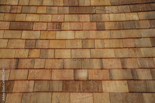 Samples of squares from a tree