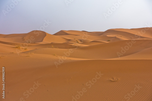 Sand dunes in Erg Chebbi at sunrise, Sahara desert, Morocco, Africa