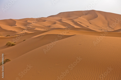 Sand dunes in Erg Chebbi at sunrise  Sahara desert  Morocco  Africa