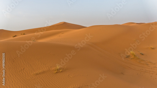 Sand dunes in Erg Chebbi at sunrise  Sahara desert  Morocco  Africa