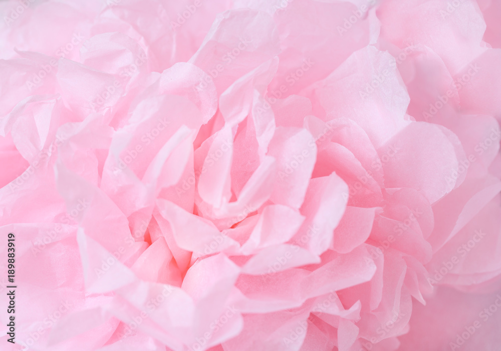 Pink flowers background. Macro of pink petals texture. Soft dreamy image.Shallow DOF