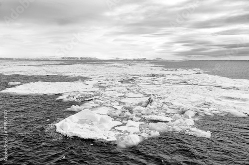 Iceberg floats in the polar sea of ​​Svalbard, Spitsbergen, Norway photo