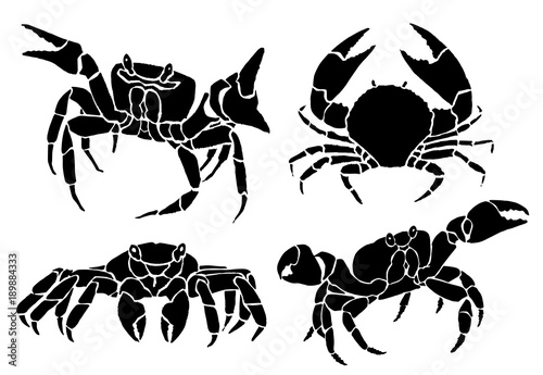 Graphical set of crabs isolated on white background,vector sea food illustration