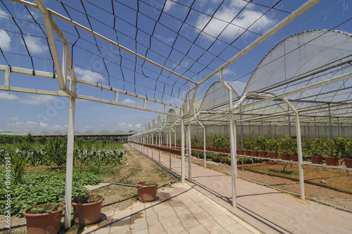 Outdoor of organic farm.