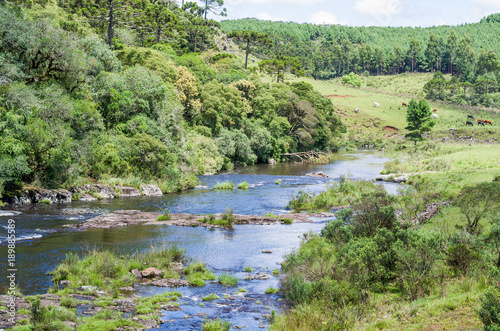 Landscape of the gaucho mountain range, araucarias, mountains and rivers. City of Bom Jesus, São José dos Ausentes.