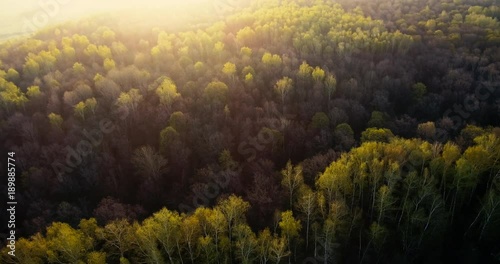 Wallpaper Mural Aerial Drone Footage View: Flight over autumn forests. Pov Torontodigital.ca