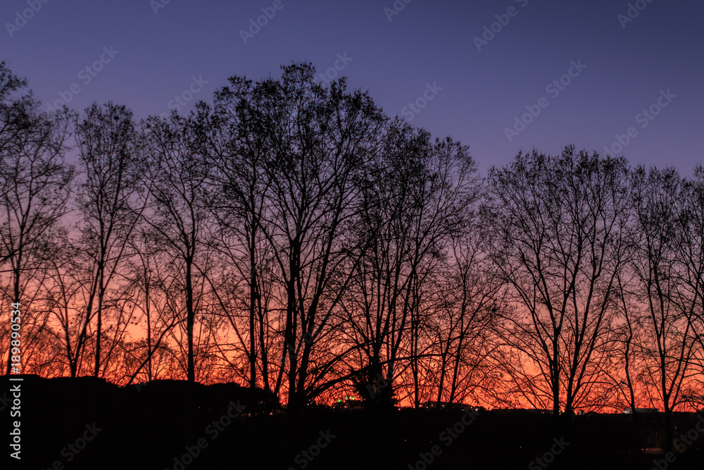 Sunset with trees backlit in the countryside. Armospheric phenomena concept