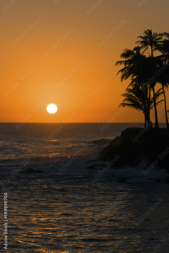 Sunset; Hawaii; palm tree;