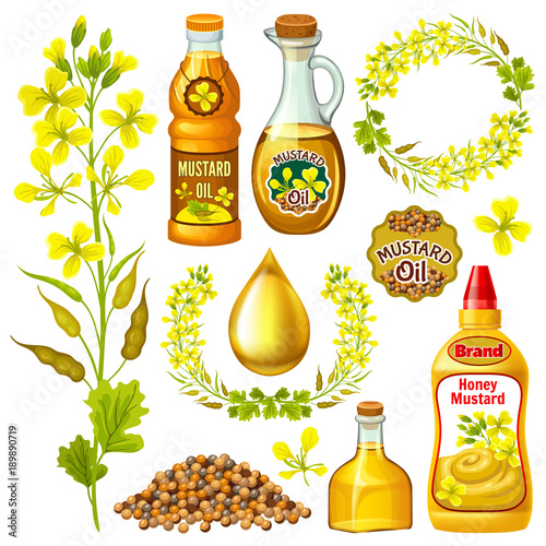 Set of  mustard, flowering, seeds and oils. 3d realistic isolated vector illustration.