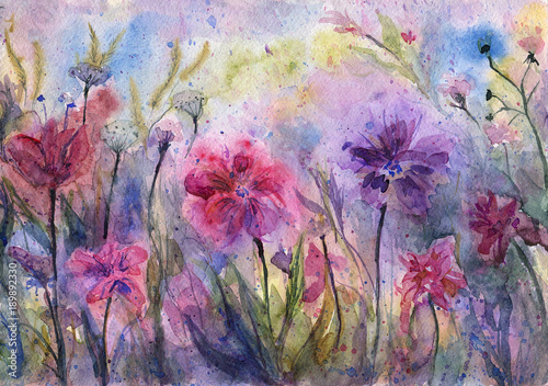 Obraz na płótnie Fioletowe kwiaty i zioła. Streszczenie fioletowa łąka. Malowanie emocjonalne. Akwarela kompozycji