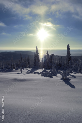 Norefjell / Norway: Snow crystals sparkle and dance in the afternoon sun